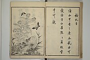 Primer on Eight Varieties of Painting (Hasshu gafu) 八集画譜, Unidentified Artists, Japanese, Set of five woodblock printed books; ink on paper, Japan