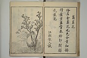 Primer on Eight Varieties of Painting (Hasshu gafu) 八集画譜, Unidentified Artists, Japanese, Set of five woodblock printed books; ink on paper, Japan