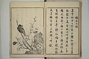 Primer on Eight Varieties of Painting (Hasshu gafu) 八集画譜, Unidentified Artists, Japanese, Set of five woodblock printed books; ink on paper, Japan