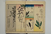 Picture Book for the Practice of Drawing (Ehon tebikigusa) 絵本手引草, Utagawa Hiroshige 歌川広重 (Japanese, Tokyo (Edo) 1797–1858 Tokyo (Edo)), Woodblock printed book; ink and color on paper, Japan