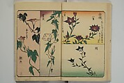 Picture Book for the Practice of Drawing (Ehon tebikigusa) 絵本手引草, Utagawa Hiroshige 歌川広重 (Japanese, Tokyo (Edo) 1797–1858 Tokyo (Edo)), Woodblock printed book; ink and color on paper, Japan