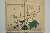 Picture Book for the Practice of Drawing (Ehon tebikigusa) 絵本手引草, Utagawa Hiroshige 歌川広重 (Japanese, Tokyo (Edo) 1797–1858 Tokyo (Edo)), Woodblock printed book; ink and color on paper, Japan