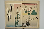 Picture Book for the Practice of Drawing (Ehon tebikigusa) 絵本手引草, Utagawa Hiroshige 歌川広重 (Japanese, Tokyo (Edo) 1797–1858 Tokyo (Edo)), Woodblock printed book; ink and color on paper, Japan