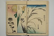 Picture Book for the Practice of Drawing (Ehon tebikigusa) 絵本手引草, Utagawa Hiroshige 歌川広重 (Japanese, Tokyo (Edo) 1797–1858 Tokyo (Edo)), Woodblock printed book; ink and color on paper, Japan