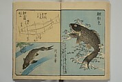 Picture Book for the Practice of Drawing (Ehon tebikigusa) 絵本手引草, Utagawa Hiroshige 歌川広重 (Japanese, Tokyo (Edo) 1797–1858 Tokyo (Edo)), Woodblock printed book; ink and color on paper, Japan