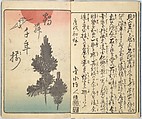 Picture Book of the Souvenirs of Edo (Ehon Edo miyage) 絵本江戸土産, Utagawa Hiroshige (Japanese, Tokyo (Edo) 1797–1858 Tokyo (Edo)), Set of ten woodblock printed books; ink and color on paper, Japan