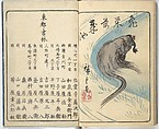 Picture Book of the Souvenirs of Edo (Ehon Edo miyage) 絵本江戸土産, Utagawa Hiroshige (Japanese, Tokyo (Edo) 1797–1858 Tokyo (Edo)), Set of ten woodblock printed books; ink and color on paper, Japan