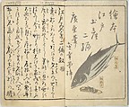 Picture Book of the Souvenirs of Edo (Ehon Edo miyage) 絵本江戸土産, Utagawa Hiroshige (Japanese, Tokyo (Edo) 1797–1858 Tokyo (Edo)), Set of ten woodblock printed books; ink and color on paper, Japan