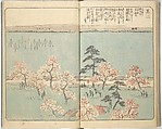 Picture Book of the Souvenirs of Edo (Ehon Edo miyage) 絵本江戸土産, Utagawa Hiroshige (Japanese, Tokyo (Edo) 1797–1858 Tokyo (Edo)), Set of ten woodblock printed books; ink and color on paper, Japan