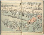 Picture Book of the Souvenirs of Edo (Ehon Edo miyage) 絵本江戸土産, Utagawa Hiroshige (Japanese, Tokyo (Edo) 1797–1858 Tokyo (Edo)), Set of ten woodblock printed books; ink and color on paper, Japan