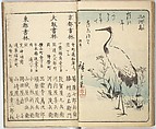 Picture Book of the Souvenirs of Edo (Ehon Edo miyage) 絵本江戸土産, Utagawa Hiroshige (Japanese, Tokyo (Edo) 1797–1858 Tokyo (Edo)), Set of ten woodblock printed books; ink and color on paper, Japan