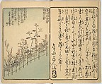 Picture Book of the Souvenirs of Edo (Ehon Edo miyage) 絵本江戸土産, Utagawa Hiroshige (Japanese, Tokyo (Edo) 1797–1858 Tokyo (Edo)), Set of ten woodblock printed books; ink and color on paper, Japan