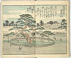 Picture Book of the Souvenirs of Edo (Ehon Edo miyage) 絵本江戸土産, Utagawa Hiroshige (Japanese, Tokyo (Edo) 1797–1858 Tokyo (Edo)), Set of ten woodblock printed books; ink and color on paper, Japan