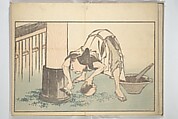 A Realistic Sketchbook by Hokusai (Hokusai shashin gafu) 北斎写真画譜, Katsushika Hokusai 葛飾北斎 (Japanese, Tokyo (Edo) 1760–1849 Tokyo (Edo)), Woodblock printed book (orihon, accordion-style); ink and color on paper, Japan
