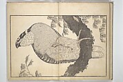 A Realistic Sketchbook by Hokusai (Hokusai shashin gafu) 北斎写真画譜, Katsushika Hokusai 葛飾北斎 (Japanese, Tokyo (Edo) 1760–1849 Tokyo (Edo)), Woodblock printed book (orihon, accordion-style); ink and color on paper, Japan