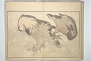 A Realistic Sketchbook by Hokusai (Hokusai shashin gafu) 北斎写真画譜, Katsushika Hokusai 葛飾北斎 (Japanese, Tokyo (Edo) 1760–1849 Tokyo (Edo)), Woodblock printed book (orihon, accordion-style); ink and color on paper, Japan