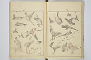 Transmitting the Spirit, Revealing the Form of Things, Volume 1 to 15 of Hokusai Sketchbooks (Denshin kaishu: Hokusai manga, shohen–jugohen) 伝神開手北斎漫画 初編-十五編, Katsushika Hokusai 葛飾北斎 (Japanese, Tokyo (Edo) 1760–1849 Tokyo (Edo)), Set of fifteen woodblock printed books; ink and color on paper, Japan