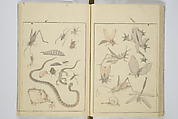 Transmitting the Spirit, Revealing the Form of Things, Volume 1 to 15 of Hokusai Sketchbooks (Denshin kaishu: Hokusai manga, shohen–jugohen) 伝神開手北斎漫画 初編-十五編, Katsushika Hokusai 葛飾北斎 (Japanese, Tokyo (Edo) 1760–1849 Tokyo (Edo)), Set of fifteen woodblock printed books; ink and color on paper, Japan