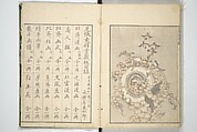 Transmitting the Spirit, Revealing the Form of Things, Volume 1 to 15 of Hokusai Sketchbooks (Denshin kaishu: Hokusai manga, shohen–jugohen) 伝神開手北斎漫画 初編-十五編, Katsushika Hokusai 葛飾北斎 (Japanese, Tokyo (Edo) 1760–1849 Tokyo (Edo)), Set of fifteen woodblock printed books; ink and color on paper, Japan