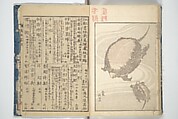 Transmitting the Spirit, Revealing the Form of Things, Volume 1 to 15 of Hokusai Sketchbooks (Denshin kaishu: Hokusai manga, shohen–jugohen) 伝神開手北斎漫画 初編-十五編, Katsushika Hokusai 葛飾北斎 (Japanese, Tokyo (Edo) 1760–1849 Tokyo (Edo)), Set of fifteen woodblock printed books; ink and color on paper, Japan