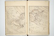 Transmitting the Spirit, Revealing the Form of Things, Volume 1 to 15 of Hokusai Sketchbooks (Denshin kaishu: Hokusai manga, shohen–jugohen) 伝神開手北斎漫画 初編-十五編, Katsushika Hokusai 葛飾北斎 (Japanese, Tokyo (Edo) 1760–1849 Tokyo (Edo)), Set of fifteen woodblock printed books; ink and color on paper, Japan