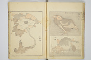 Transmitting the Spirit, Revealing the Form of Things, Volume 1 to 15 of Hokusai Sketchbooks (Denshin kaishu: Hokusai manga, shohen–jugohen) 伝神開手北斎漫画 初編-十五編, Katsushika Hokusai 葛飾北斎 (Japanese, Tokyo (Edo) 1760–1849 Tokyo (Edo)), Set of fifteen woodblock printed books; ink and color on paper, Japan