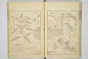 Transmitting the Spirit, Revealing the Form of Things, Volume 1 to 15 of Hokusai Sketchbooks (Denshin kaishu: Hokusai manga, shohen–jugohen) 伝神開手北斎漫画 初編-十五編, Katsushika Hokusai 葛飾北斎 (Japanese, Tokyo (Edo) 1760–1849 Tokyo (Edo)), Set of fifteen woodblock printed books; ink and color on paper, Japan