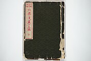 Transmitting the Spirit, Revealing the Form of Things, Volume 1 to 15 of Hokusai Sketchbooks (Denshin kaishu: Hokusai manga, shohen–jugohen) 伝神開手北斎漫画 初編-十五編, Katsushika Hokusai 葛飾北斎 (Japanese, Tokyo (Edo) 1760–1849 Tokyo (Edo)), Set of fifteen woodblock printed books; ink and color on paper, Japan