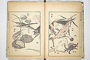 Transmitting the Spirit, Revealing the Form of Things, Volume 1 to 15 of Hokusai Sketchbooks (Denshin kaishu: Hokusai manga, shohen–jugohen) 伝神開手北斎漫画 初編-十五編, Katsushika Hokusai 葛飾北斎 (Japanese, Tokyo (Edo) 1760–1849 Tokyo (Edo)), Set of fifteen woodblock printed books; ink and color on paper, Japan