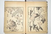 Transmitting the Spirit, Revealing the Form of Things, Volume 1 to 15 of Hokusai Sketchbooks (Denshin kaishu: Hokusai manga, shohen–jugohen) 伝神開手北斎漫画 初編-十五編, Katsushika Hokusai 葛飾北斎 (Japanese, Tokyo (Edo) 1760–1849 Tokyo (Edo)), Set of fifteen woodblock printed books; ink and color on paper, Japan