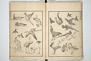Transmitting the Spirit, Revealing the Form of Things, Volume 1 to 15 of Hokusai Sketchbooks (Denshin kaishu: Hokusai manga, shohen–jugohen) 伝神開手北斎漫画 初編-十五編, Katsushika Hokusai 葛飾北斎 (Japanese, Tokyo (Edo) 1760–1849 Tokyo (Edo)), Set of fifteen woodblock printed books; ink and color on paper, Japan