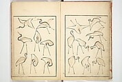 Transmitting the Spirit, Revealing Form of Things: Picture Album of Drawings at One Stroke (Denshin kaishu ippitsu gafu) 伝神開手 一筆画譜, Katsushika Hokusai 葛飾北斎 (Japanese, Tokyo (Edo) 1760–1849 Tokyo (Edo)), Woodblock printed book; ink and color on paper, Japan