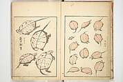 Transmitting the Spirit, Revealing Form of Things: Picture Album of Drawings at One Stroke (Denshin kaishu ippitsu gafu) 伝神開手 一筆画譜, Katsushika Hokusai 葛飾北斎 (Japanese, Tokyo (Edo) 1760–1849 Tokyo (Edo)), Woodblock printed book; ink and color on paper, Japan