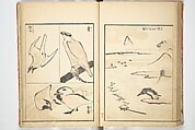 Transmitting the Spirit, Revealing Form of Things: Picture Album of Drawings at One Stroke (Denshin kaishu ippitsu gafu) 伝神開手 一筆画譜, Katsushika Hokusai 葛飾北斎 (Japanese, Tokyo (Edo) 1760–1849 Tokyo (Edo)), Woodblock printed book; ink and color on paper, Japan