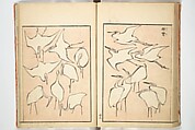 Transmitting the Spirit, Revealing Form of Things: Picture Album of Drawings at One Stroke (Denshin kaishu ippitsu gafu) 伝神開手 一筆画譜, Katsushika Hokusai 葛飾北斎 (Japanese, Tokyo (Edo) 1760–1849 Tokyo (Edo)), Woodblock printed book; ink and color on paper, Japan