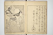 One Hundred Views of Mount Fuji (Fugaku hyakkei) 富嶽百景, Katsushika Hokusai 葛飾北斎 (Japanese, Tokyo (Edo) 1760–1849 Tokyo (Edo)), Set of three woodblock printed books; ink on paper, Japan