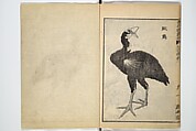 Illustrated "Anthology of Tang-Dynasty Poems" in Five-Syllable Lines (Tōshisen ehon gogon ritsu hairitsu) 画本唐詩選五言律排律, Katsushika Hokusai 葛飾北斎 (Japanese, Tokyo (Edo) 1760–1849 Tokyo (Edo)), Set of five woodblock printed books; ink on paper, Japan