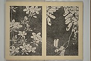 Itō Jakuchū 伊藤若冲 | Jakuchū Picture Album (Jakuchū gajō} 若冲