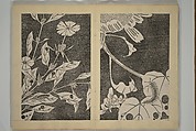 Jakuchū Picture Album (Jakuchū gajō} 若冲画帖, Itō Jakuchū 伊藤若冲 (Japanese, 1716–1800), Set of two woodblock printed books (orihon, accordion-style); ink on paper, Japan