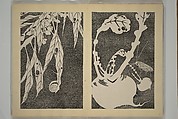 Jakuchū Picture Album (Jakuchū gajō} 若冲画帖, Itō Jakuchū 伊藤若冲 (Japanese, 1716–1800), Set of two woodblock printed books (orihon, accordion-style); ink on paper, Japan