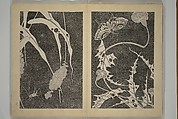Jakuchū Picture Album (Jakuchū gajō} 若冲画帖, Itō Jakuchū 伊藤若冲 (Japanese, 1716–1800), Set of two woodblock printed books (orihon, accordion-style); ink on paper, Japan