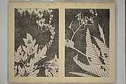 Jakuchū Picture Album (Jakuchū gajō} 若冲画帖, Itō Jakuchū 伊藤若冲 (Japanese, 1716–1800), Set of two woodblock printed books (orihon, accordion-style); ink on paper, Japan