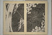 Jakuchū Picture Album (Jakuchū gajō} 若冲画帖, Itō Jakuchū 伊藤若冲 (Japanese, 1716–1800), Set of two woodblock printed books (orihon, accordion-style); ink on paper, Japan