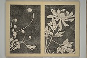 Jakuchū Picture Album (Jakuchū gajō} 若冲画帖, Itō Jakuchū 伊藤若冲 (Japanese, 1716–1800), Set of two woodblock printed books (orihon, accordion-style); ink on paper, Japan