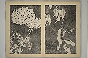Jakuchū Picture Album (Jakuchū gajō} 若冲画帖, Itō Jakuchū 伊藤若冲 (Japanese, 1716–1800), Set of two woodblock printed books (orihon, accordion-style); ink on paper, Japan
