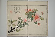The Mustard Seed Garden Painting Manua} 芥子園畫傳, Wang Gai 王槩 (Chinese, 1645–1710), Set of two woodblock printed books; ink and color on paper, Japan