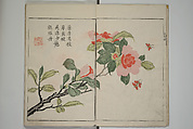The Mustard Seed Garden Painting Manua} 芥子園畫傳, Wang Gai 王槩 (Chinese, 1645–1710), Set of two woodblock printed books; ink and color on paper, Japan