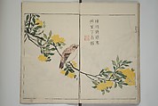 The Mustard Seed Garden Painting Manua} 芥子園畫傳, Wang Gai 王槩 (Chinese, 1645–1710), Set of two woodblock printed books; ink and color on paper, Japan