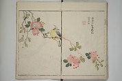 The Mustard Seed Garden Painting Manua} 芥子園畫傳, Wang Gai 王槩 (Chinese, 1645–1710), Set of two woodblock printed books; ink and color on paper, Japan