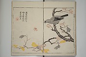 The Mustard Seed Garden Painting Manua} 芥子園畫傳, Wang Gai 王槩 (Chinese, 1645–1710), Set of two woodblock printed books; ink and color on paper, Japan
